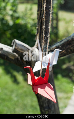 Origami Kraniche im Garten. Die Zahlen des Papiers in der Natur. in Rot und Weiß Krane auf Baum. Stockfoto