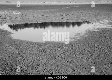 Ebbe im niedersächsischen Nationalpark Wattenmeer, Niedersachsen, Deutschland, Europa Stockfoto