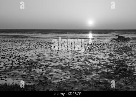 Sonnenuntergang an der niedersächsischen Nationalpark Wattenmeer, Niedersachsen, Deutschland, Europa Stockfoto