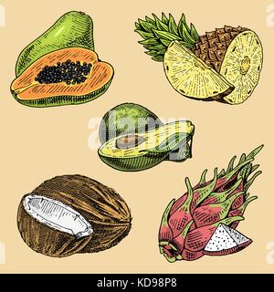 Satz von Hand gezeichnet, gravierte frisches Obst, vegetarische Speisen, Pflanzen, Vintage Orange und Apfel, Traube mit Kokos, Gragonfruit, Birne, Pfirsich, Pflaume. Stock Vektor