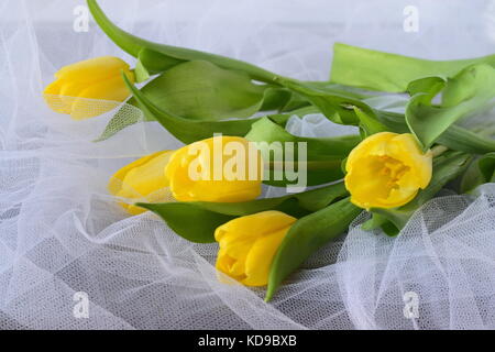 Gelbe Tulpen auf einem weißen Tuch luftige Textur Stockfoto