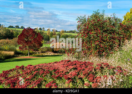 RHS Hyde Hall Herbstfarbe, saisonale Grenzen, Blumenbeete. Stockfoto