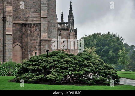 Detail der Bryn Athyn Cathedral, Bryn Athyn Historic District, Pennsylvania, USA Stockfoto