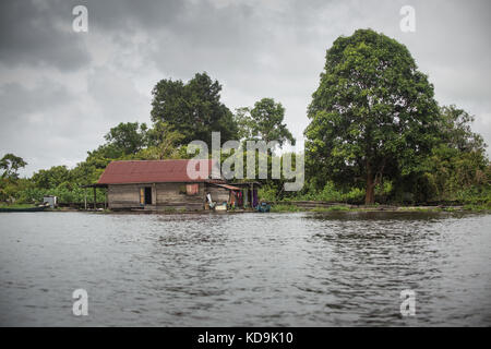 Tropische borneo Blick vom Fluss Boot. riesigen Baum, üppigen Laub und Holzhütte auf dem Mahakam River Bank in Kalimantan mit dramatischen dunklen stürmischen Himmel Stockfoto