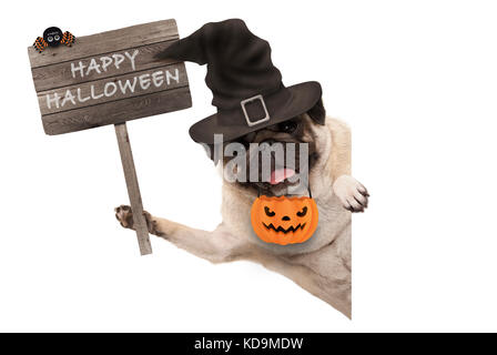 Lächelnd Mops Welpen Hund holding Holzschild mit Happy Halloween und tragen Hexenhut und Kürbis, auf weißem Hintergrund Stockfoto