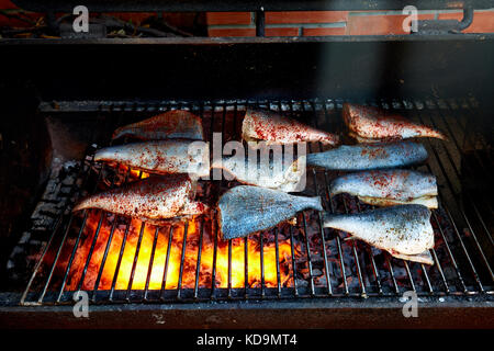 Kochen frische Forelle und Goldbrasse auf einem Grill. Stockfoto