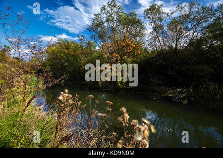 Anfang Herbst Landschaft. Wild River fließt entlang der Ufer, dicht mit Büschen und Bäumen bewachsen. Stockfoto