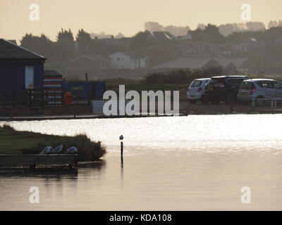 Sheerness, Kent, Großbritannien. 12 Okt, 2017. UK Wetter: Sonniger Start in den Tag in Sheerness am Barton's Point See. Credit: James Bell/Alamy leben Nachrichten Stockfoto