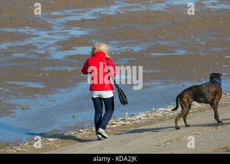 Hund spielt am Strand, Southport, Merseyside, UK. 12 Okt, 2017. UK Wetter. Helle, sonnige aber blustery Tag am Meer Sand und Trans Pennine Trail cycleway. Die Anwohner genießen Sie die erfrischenden Winde in die Sonne zu nehmen und den Blick auf den Sefton Coast genießen. Credit: MediaWorldImages/Alamy leben Nachrichten Stockfoto