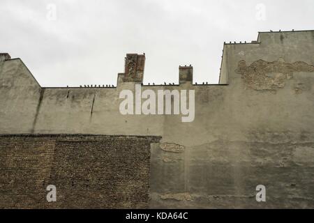 Posen, Wielkopolska, Polen. Oktober 2017. 12. Oktober 2017 - Posen, Polen - Tauben (Columba livia forma urbana) in der Stadt. Quelle: Dawid Tatarkiewicz/ZUMA Wire/Alamy Live News Stockfoto