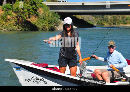 Große Regenbogenforellen sind oft im kühlen Wasser des Sac Fluss unten Shasta Dam genommen. Stockfoto