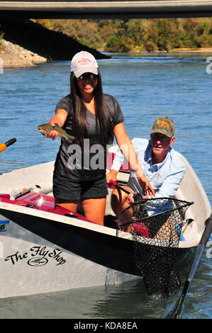 Große Regenbogenforellen sind oft im kühlen Wasser des Sac Fluss unten Shasta Dam genommen. Stockfoto
