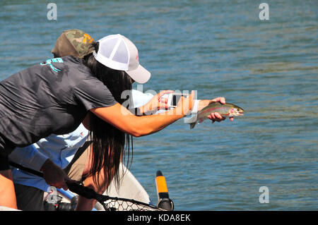 Große Regenbogenforellen sind oft im kühlen Wasser des Sac Fluss unten Shasta Dam genommen. Stockfoto