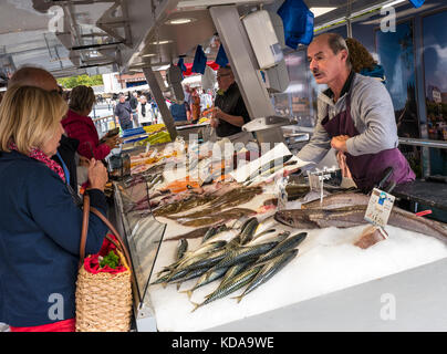 Französischer Fischmarkt Stand BRETAGNE beschäftigt Verkauf von Sorten von Französisch lokalen Fisch einschließlich eines ganzen Makrele in Moëlan sur Mer Bretagne Frankreich Stockfoto