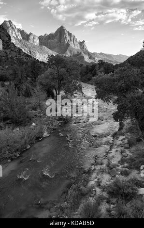 Der Wächter Zion National Park Stockfoto