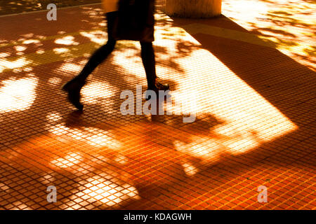 Schatten und Silhouetten von einer Person zu Fuß in motion blur und Bäume im Herbst Sonnenuntergang Sonnenlicht auf Stadt Straße Bürgersteig Stockfoto