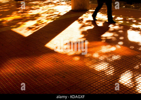 Schatten und Silhouetten von einer Person zu Fuß in motion blur und Bäume im Herbst Sonnenuntergang Sonnenlicht auf Stadt Straße Bürgersteig Stockfoto