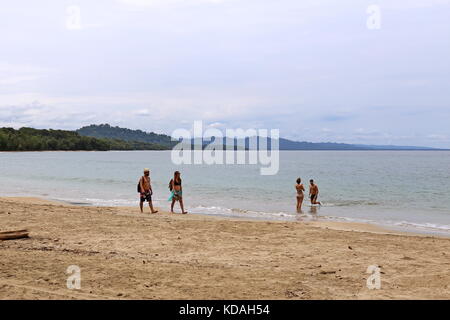 Playa Punta Uva, Puerto Viejo, Limón Province, Karibik, Costa Rica, Mittelamerika Stockfoto