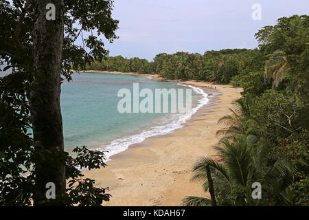 Playa Punta Uva-Arrecife von Punta Uva, Puerto Viejo, Limón Province, Karibik, Costa Rica, Mittelamerika Stockfoto