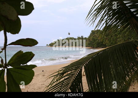 Playa Punta Uva-Arrecife, Puerto Viejo, Limón Province, Karibik, Costa Rica, Mittelamerika Stockfoto