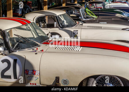 Jaguar E-Types im Fahrerlager beim Goodwood Revival 2017, Sussex, Großbritannien. Teilnehmer am Kinrara Trophy Rennen. Stockfoto