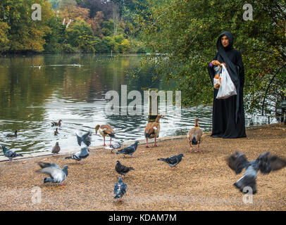 Frau in der traditionellen schwarzen Kleidung, Ernährung Brot für Tauben und Gänse, am runden Teich, in Kensington Gardens, London W2, England, UK. Stockfoto