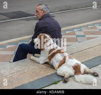 Alte/ältere Menschen/älterer Mann sitzt entspannt auf Steinstufen, mit seinem alten Hund lag neben ihm. Die Kensington Gardens, London, England, UK. Stockfoto