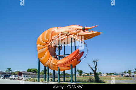 Australien, New South Wales, Northern Rivers Region, Ballina, die große Garnelen, die weltweit größte Garnelen aus Beton und Fiberglas Stockfoto