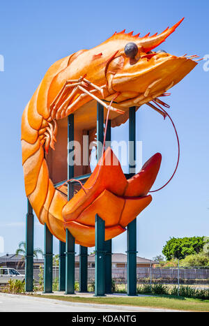 Australien, New South Wales, Northern Rivers Region, Ballina, die große Garnelen, die weltweit größte Garnelen aus Beton und Fiberglas Stockfoto