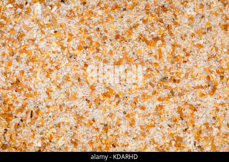 Leben Größe Makro von bunten sand Korn von Daytona Beach, Volusia County, Florida Stockfoto