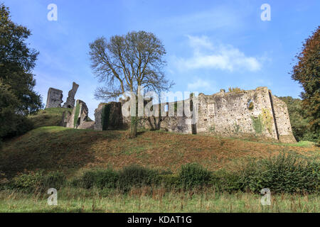Okehampton Castle, Dartmoor, Devon, England, Vereinigtes Königreich Stockfoto