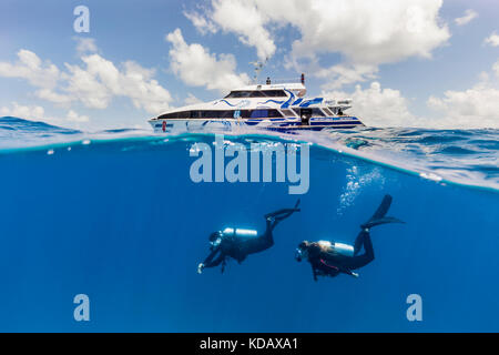 Split shot der Taucher und Tauchboot am Agincourt Reef, Great Barrier Reef Marine Park, Port Douglas, Queensland, Australien Stockfoto