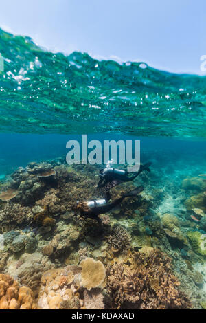 Split shot von Tauchern erkundet die Korallenformationen von Agincourt Reef, Great Barrier Reef Marine Park, Port Douglas, Queensland, Australien Stockfoto