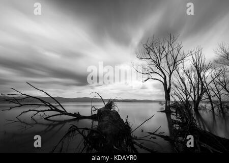 Langzeitbelichtung, Blick auf den See, mit perfekt noch Wasser, Skelett Bäume und ziehenden Wolken Stockfoto