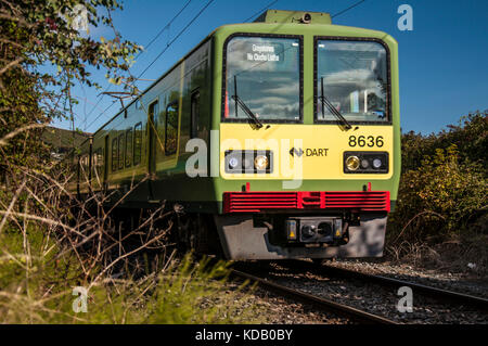 DART Zug in Bewegung. Irland. Stockfoto