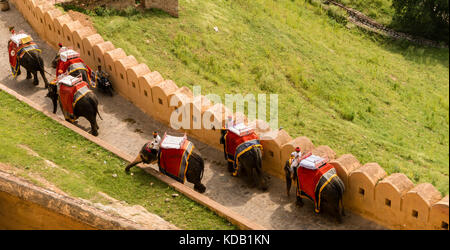 Touristische reiten auf Elefanten die Amber Fort in der Nähe von Jaipur, Indien zu besuchen Stockfoto