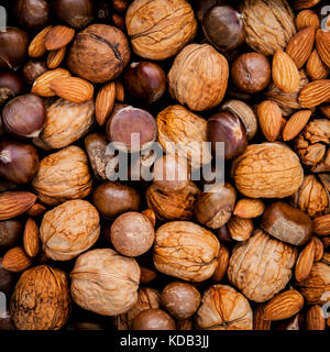 Verschiedene Arten von Nüssen in Muscheln, cashew-, Mandel-, Walnuss, Haselnuss, Pecan und macadamia. Stockfoto