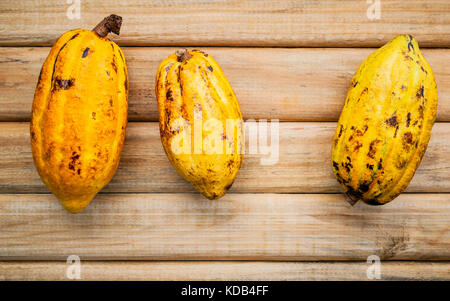 Von ripe Indonesien Kakaofrucht setup auf rustikalen Holzmöbeln Hintergrund. Stockfoto