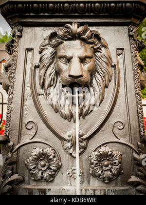 Lion's Head auf einem Brunnen in Bad Aussee, Österreich Stockfoto