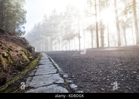 Straße mit gecrackten Fahrbahnmarkierungen in einer nebligen Wald Stockfoto