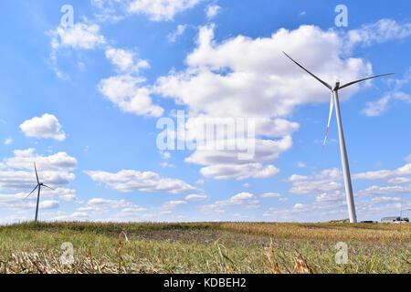 Windpark in alibunar, Serbien Stockfoto