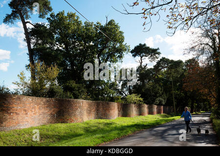 Crinkle Crankle Wand, Easton, Suffolk, England. Stockfoto