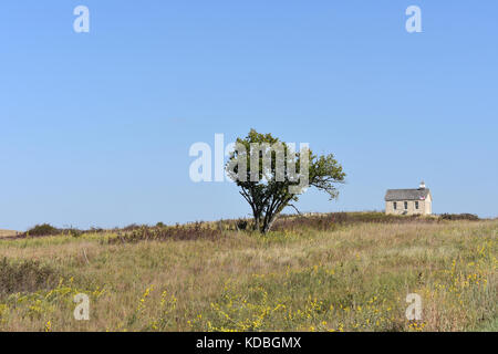 Ein Zimmer schoolhouse - Fox Creek Schule, hohes Gras Wiese, Flint Hills Region, Strong City, Kansas USA Stockfoto