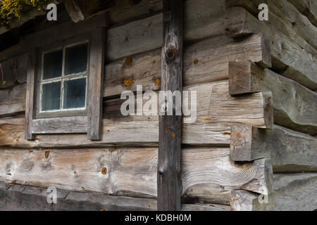 Eine ramshackled shack in einem Waldgebiet Stockfoto