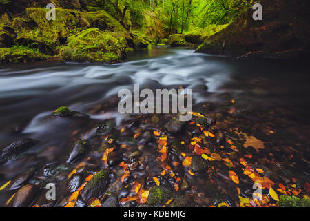 Fluss Kamenice im Herbst mit langer Belichtung, Böhmische Schweiz, Tschechische Republik Stockfoto