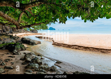 Ein Baum mit breiten Blättern erstellt einen Schatten über dem Fluss, fließt in die Andamanensee Stockfoto