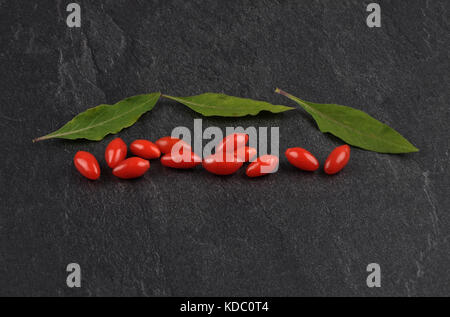 Gogyberry mit Blättern auf Schiefer Stockfoto