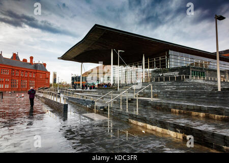 Eine Gruppe von Schulkindern versammelt sich auf den Stufen des Senedd Welsh National Assembly Gebäudes in Cardiff Bay, Wales, Großbritannien Stockfoto