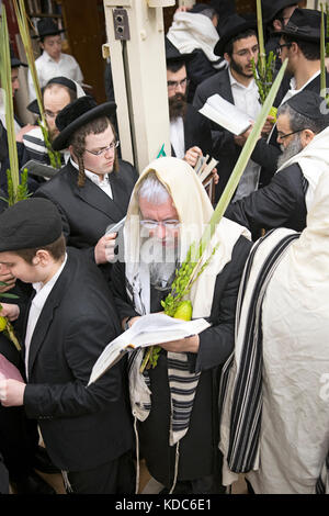 Einen religiösen Jüdischen Mann, der betet an Sukkot mit einem esrog und lulav. In einer Synagoge in Brooklyn, New York. Stockfoto