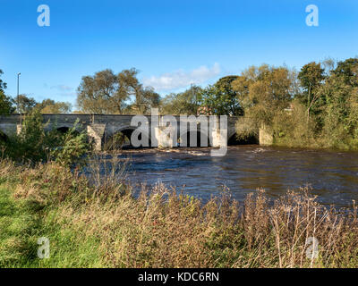 Nordbrücke eine mittelalterliche Brücke aus dem Jahr 1309 über Der Fluss Ure in Ripon Yorkshire England Stockfoto